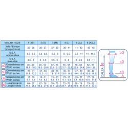 833 Чулки компрессионные (26-29 mmHg) 240 den открытый носок (мысок), унисекс